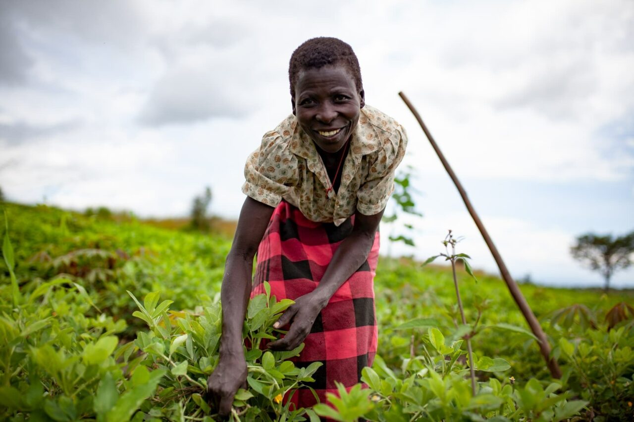 African women farming
