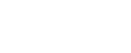 20fs logo